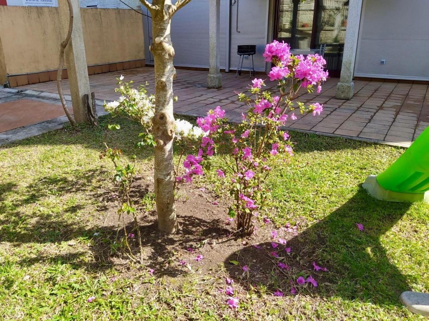 Apartamento Con Jardin Y Piscina Temporada Verano Privados Samieira Ngoại thất bức ảnh