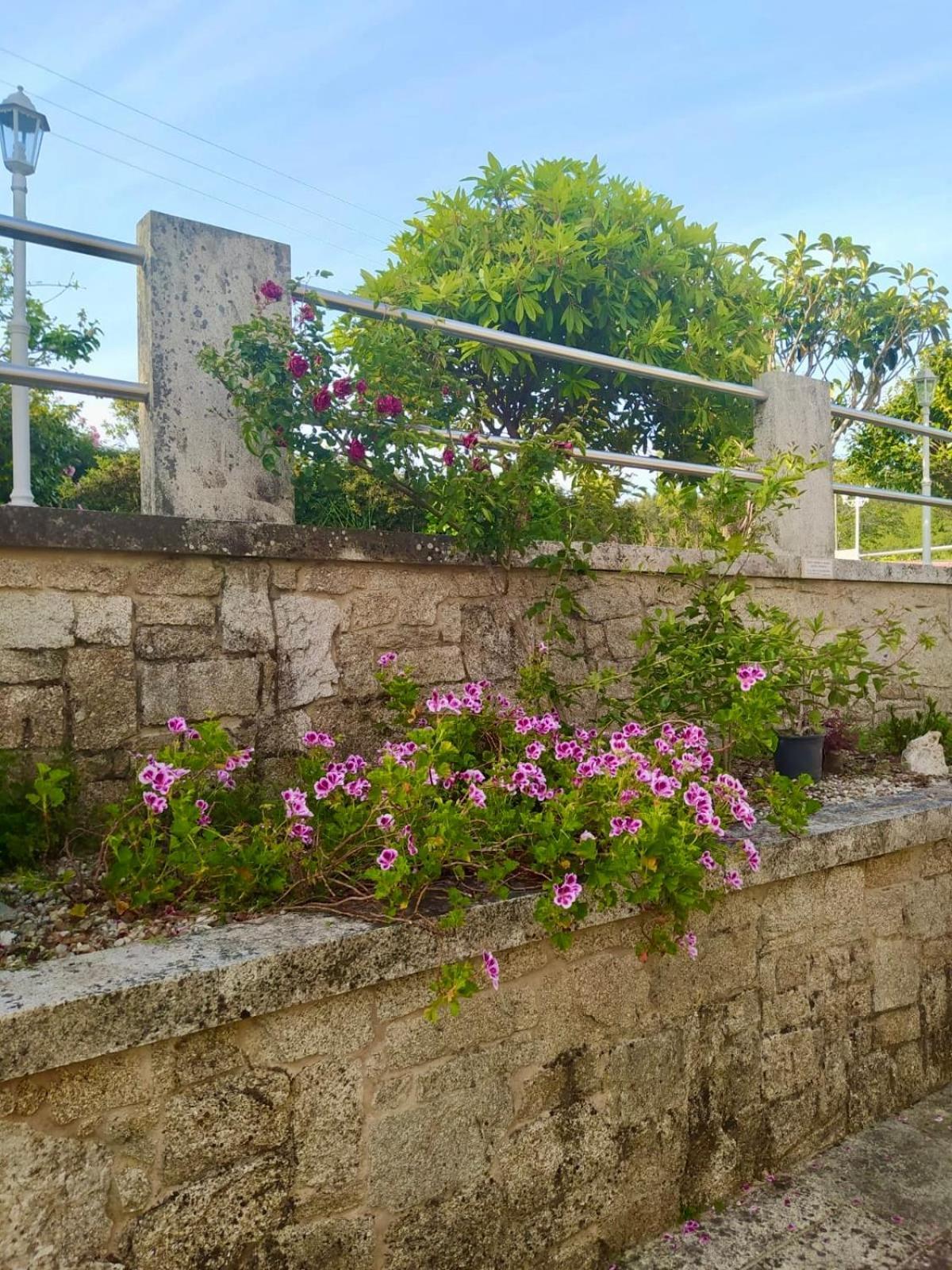 Apartamento Con Jardin Y Piscina Temporada Verano Privados Samieira Ngoại thất bức ảnh